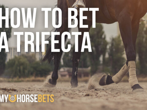 how to bet a trifecta