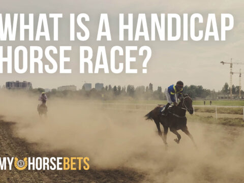 what is a handicap horse race